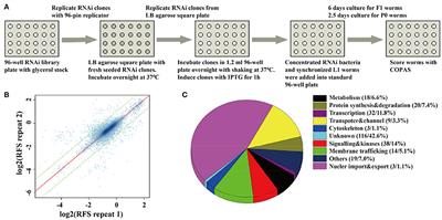 A Systematic RNAi Screen Reveals a Novel Role of a Spindle Assembly Checkpoint Protein BuGZ in Synaptic Transmission in C. elegans